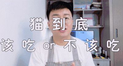 萌宠网红图鉴:B站文艺VS快手沙雕VS抖音戏精