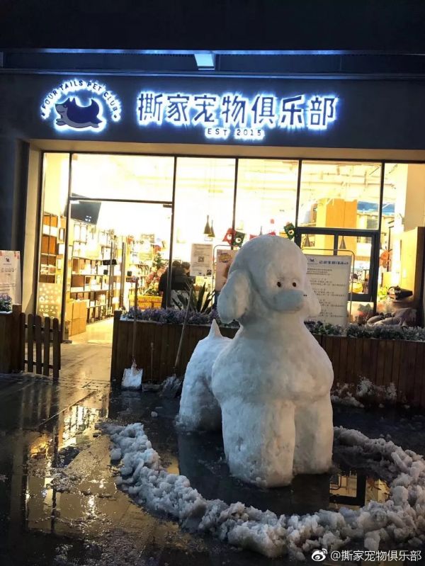 萌宠网红图鉴:B站文艺VS快手沙雕VS抖音戏精