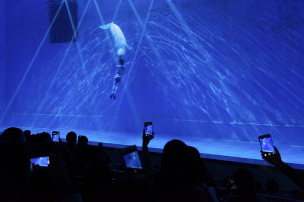 图片来源@视觉中国