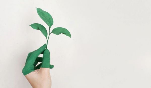 75%的企业转型死,微软怎么做到重回第一?