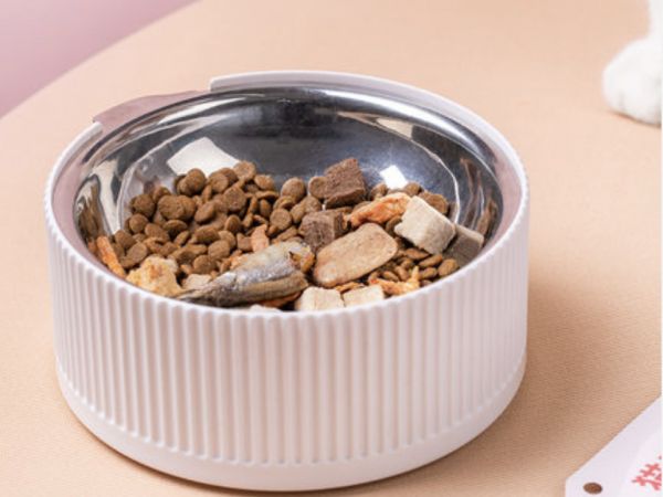 聚焦养猫新手,「尾巴生活」要做“好看不贵”的猫咪全品类生活品牌