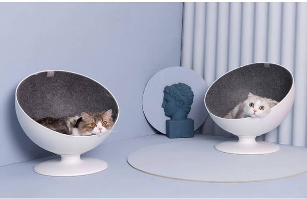 聚焦养猫新手,「尾巴生活」要做“好看不贵”的猫咪全品类生活品牌