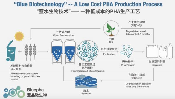 少数派的未来猜想 | 500纳米的“细胞工厂”，是下个千亿产业的孵化地？