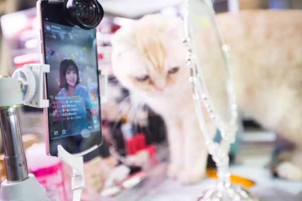 蘑菇街不美丽：从估值30亿美金到市值3亿