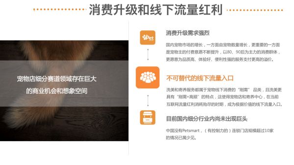 线下是不可替代的流量入口,社区小店要如何突破瓶颈? | 36氪宠物经济专题