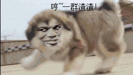 风控划水，34亿资金翻船，京东诺亚谁在说谎