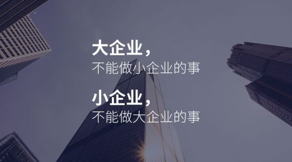 李丰对话章燎原：三只松鼠上市之际的思考