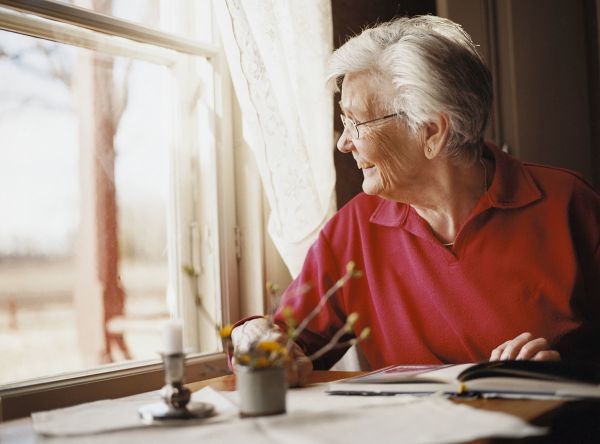 少数派的未来猜想 | 担心AI威胁人类?先担心人类不停“变笨”吧