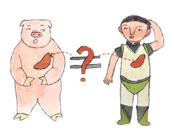 Update | 基因编辑公司启函生物获超 2000 万美元融资，瞄准异种器官移植