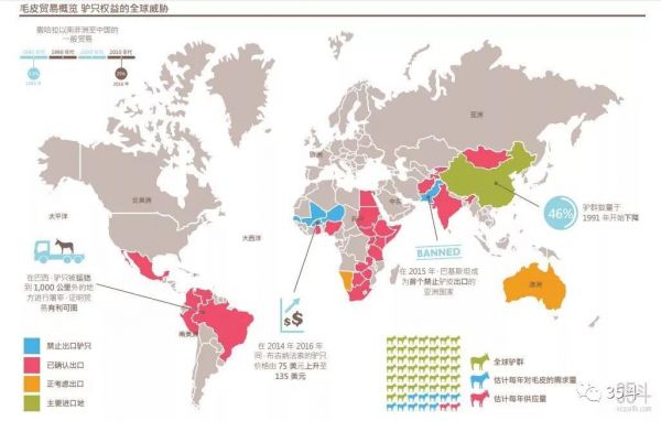 养驴大业：阿胶大跌后，全国260多万头驴怎么办？