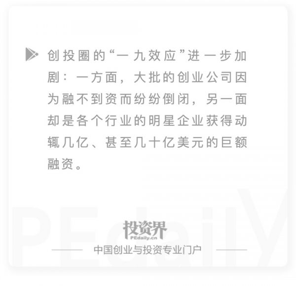 这半年，有钱的VC/PE开始扫货