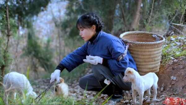 抖音之后再无全民papi酱,短视频网红该何去何从