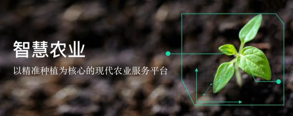 案例分析 | 巨头如何做智慧农业,「中化农业」认为技术和线下服务缺一不可