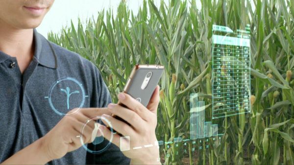 案例分析 | 巨头如何做智慧农业,「中化农业」认为技术和线下服务缺一不可