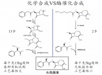 构建“酶”定向进化平台BioEngine，「酶赛生物」为客户定制酶催化解决方案
