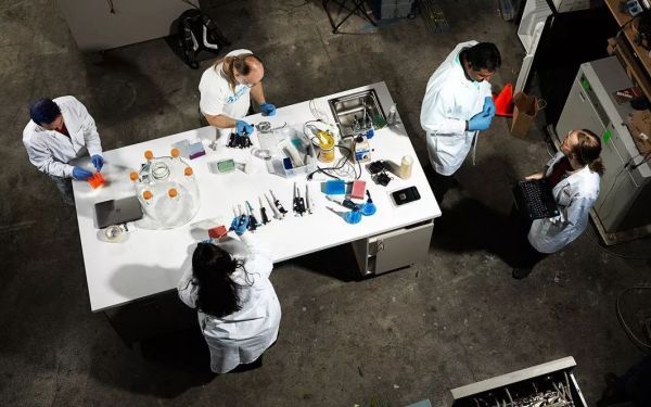 「人造肉」浪潮还没完,「人造乳制品」已经在发酵