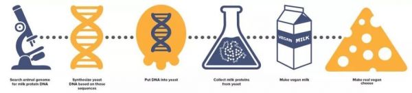 「人造肉」浪潮还没完,「人造乳制品」已经在发酵