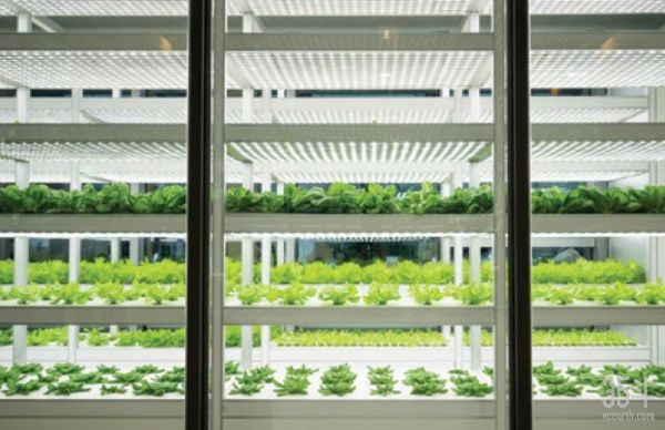 瑞士银行未来农业报告：粮食的未来和我们面临的挑战