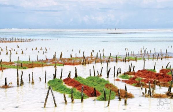 瑞士银行未来农业报告：粮食的未来和我们面临的挑战