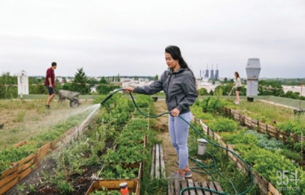 瑞士银行未来农业报告：粮食的未来和我们面临的挑战