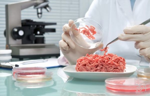 瑞士银行未来农业报告：粮食的未来和我们面临的挑战