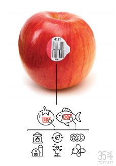 瑞士银行未来农业报告：粮食的未来和我们面临的挑战