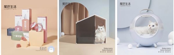 36氪首发 | 围绕最高LTV女性用户打造养猫“人群品牌”,「FURRYTAIL尾巴生活」获8000万A轮及A+轮融资