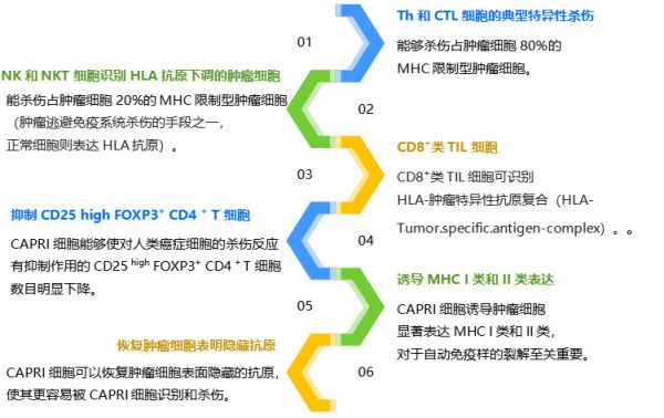 潮科技 | 细胞疗法行业探索：CAPRI细胞疗法