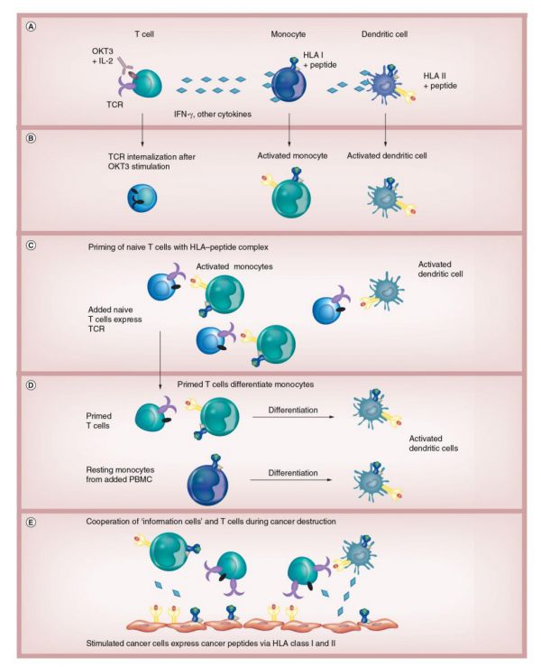 潮科技 | 细胞疗法行业探索：CAPRI细胞疗法