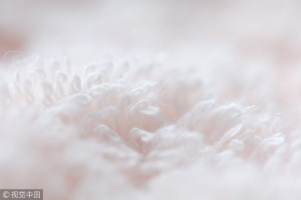 Update | B2B平台「化纤邦」完成B+轮融资,将重点布局供应链金融服务