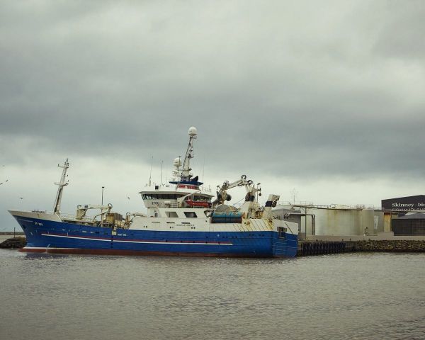 冰岛人正在行动,准备迎接“无冰世界”的到来