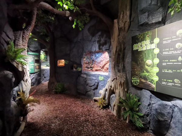 36氪首发 | 把动物园开到商场里,「Mr Zoo 小小动物元」今年已完成三轮融资