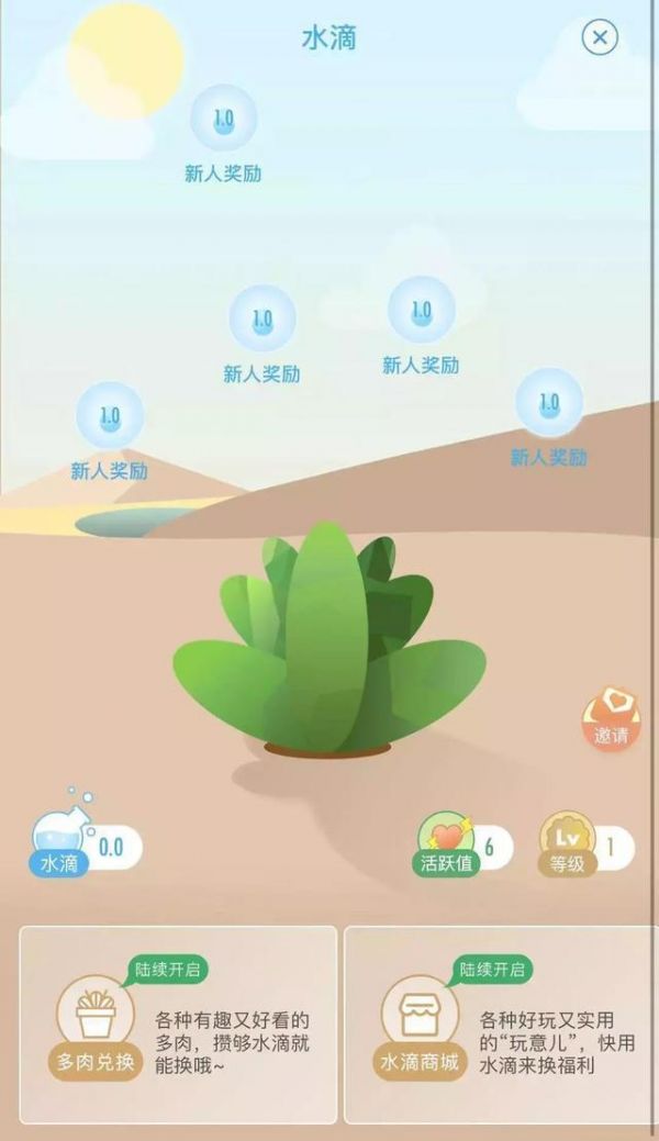 微博孵化“绿洲”，要做一个直奔变现的独立种草“子集”