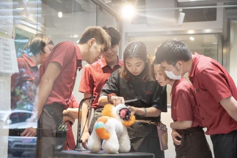 36氪首发 | 「宠物家Pet’em」获近亿元人民币融资,要用“服务标准化”+“数据工具”改造线下