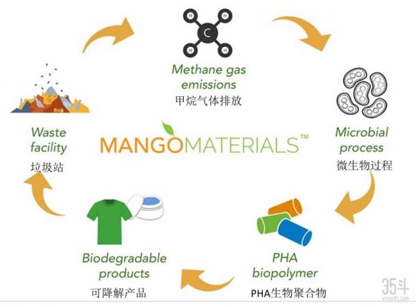 减少塑料废物，多用绿色包装，9家公司带来9种办法