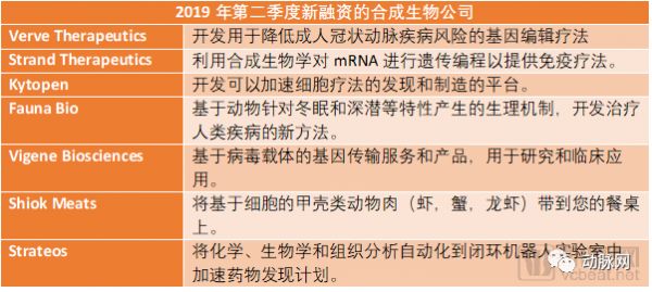 合成生物行业2019年Q2融资报告:半年融资19亿美元,重点关注治疗领域