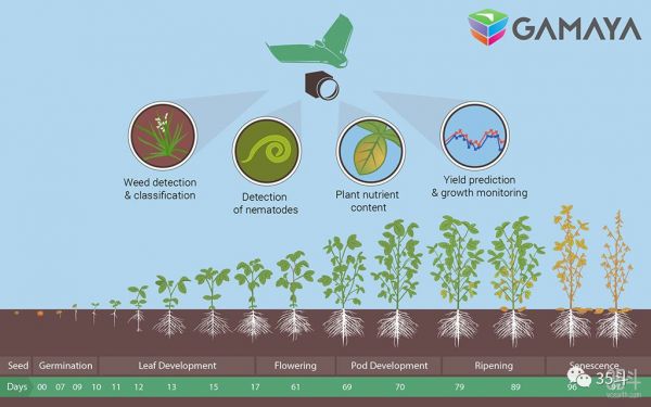 100亿人如何养活自己？