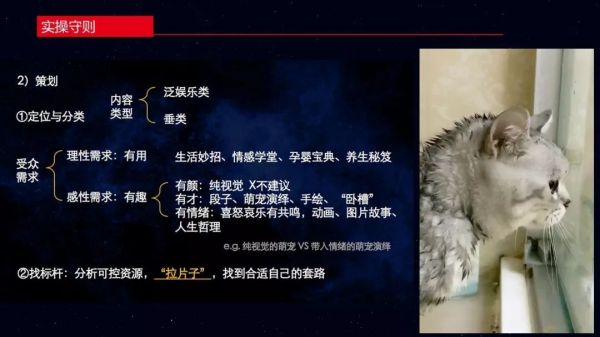 如何打造短视频流量池,什么样的短视频变现效率高?