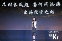 复星锐正资本刘思齐：「出海投资」，几时长风起，若何济沧海 | 2019中国投资人未来峰会