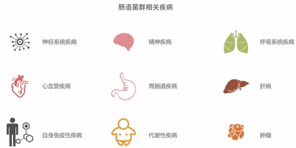 从元基因检测到个性化服务,「领治医学」想通过肠道微生态治疗实现慢病管理