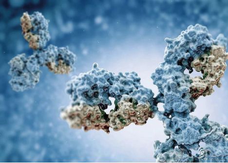 中国抗体制药将于十月初进行聆讯:预计募资规模1亿-2亿美元