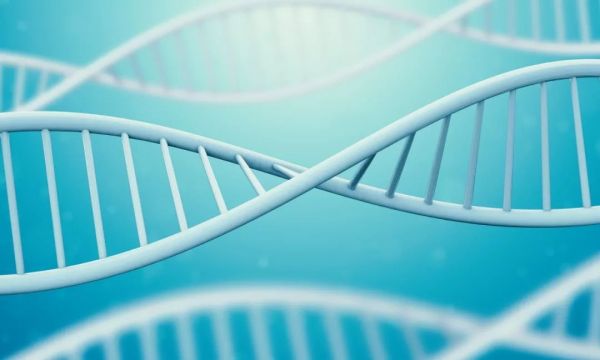 神州细胞:110亿估值VS连年亏损,前景饱受非议