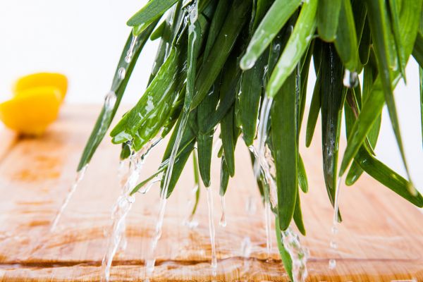 图片来源@视觉中国