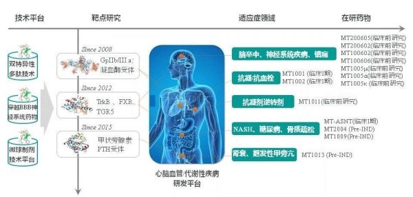专注于多肽药物研发，「麦科奥特」获得北极光创投等机构1.15亿元人民币的Pre-A轮融资
