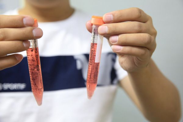 少数派的未来猜想 | 克隆宠物来了,成了有钱人的专属游戏 ?