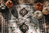 创投日报 | 「Flowerplus 花加」完成3500万元B1轮融资，「连美科技」如何把握工装领域新机会，以及今天值得关注的12个早期项目