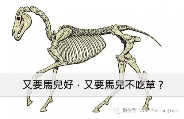 20场企业内训后，我总结出落地增长最常见的4个坑