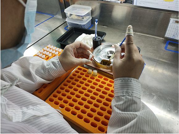 深圳电子烟工厂的十字路口:从安逸十年到与资本赌博