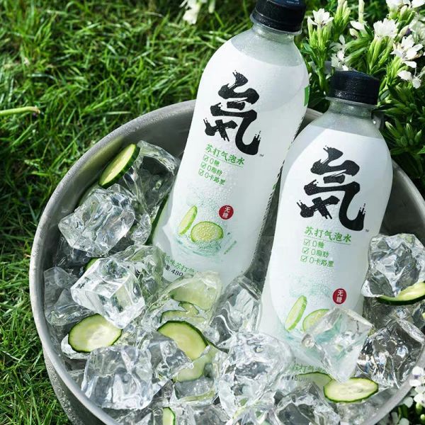 ​36氪独家 | 元気森林即将完成新一轮 1.5 亿元融资，估值 40 亿元，龙湖、高榕、黑蚁资本注资