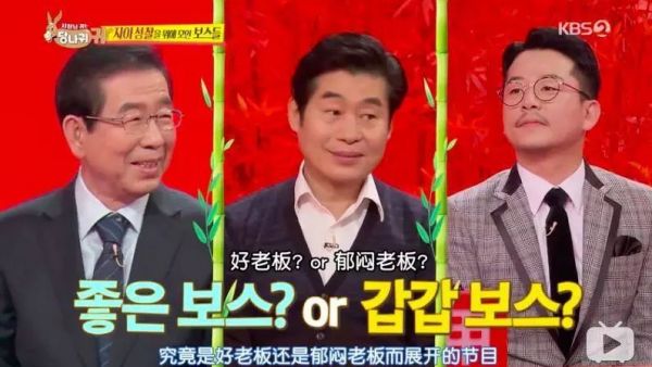 职场综艺16年演变史